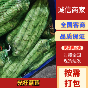 【热销】河南开封冷库光杆莴苣-产地直发-规格齐全-来电详谈
