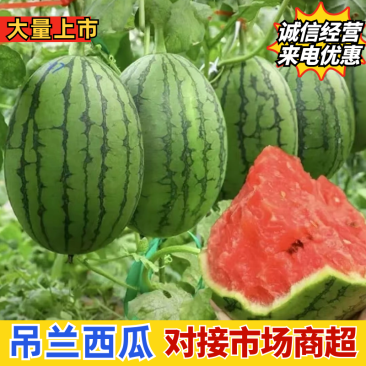 陕西蒲城/938吊兰西瓜/小糖丸/冰糖小吊瓜一手货源