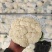 河南精品有机花白面青梗松花菜河南松花菜保证质量全国发货