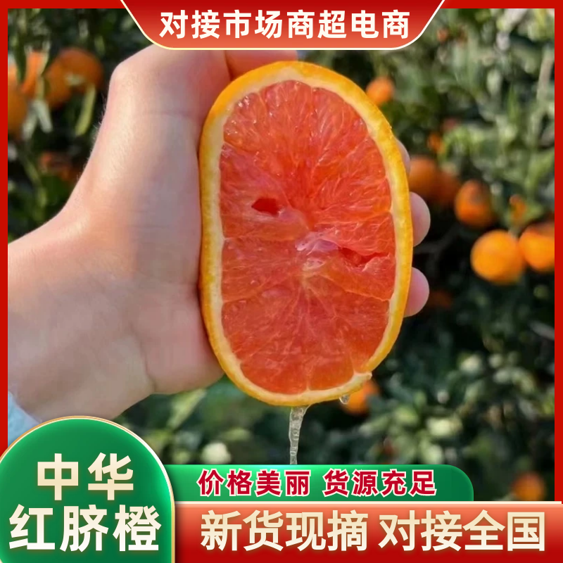 中华红橙子产地直发湖北橙子新鲜水果批发