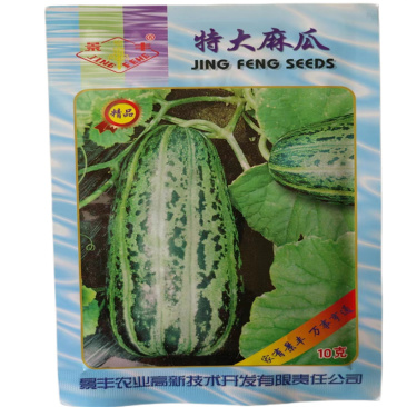特大麻瓜甜瓜种子大田基地早熟芝麻蜜香瓜种籽多汁沙瓤