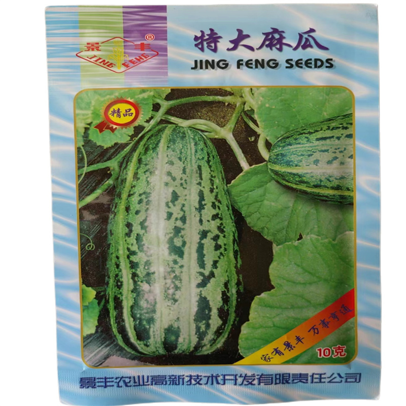 特大麻瓜甜瓜种子大田基地早熟芝麻蜜香瓜种籽多汁沙瓤
