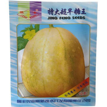 特大超早糖王甜瓜种子甜度高景丰香瓜基地不倒瓤