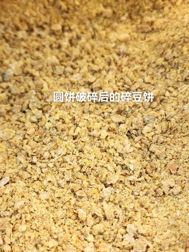 黄豆饼蛋白高油脂高适合鸡鸭鹅牛羊鱼虾蟹育肥期饲养