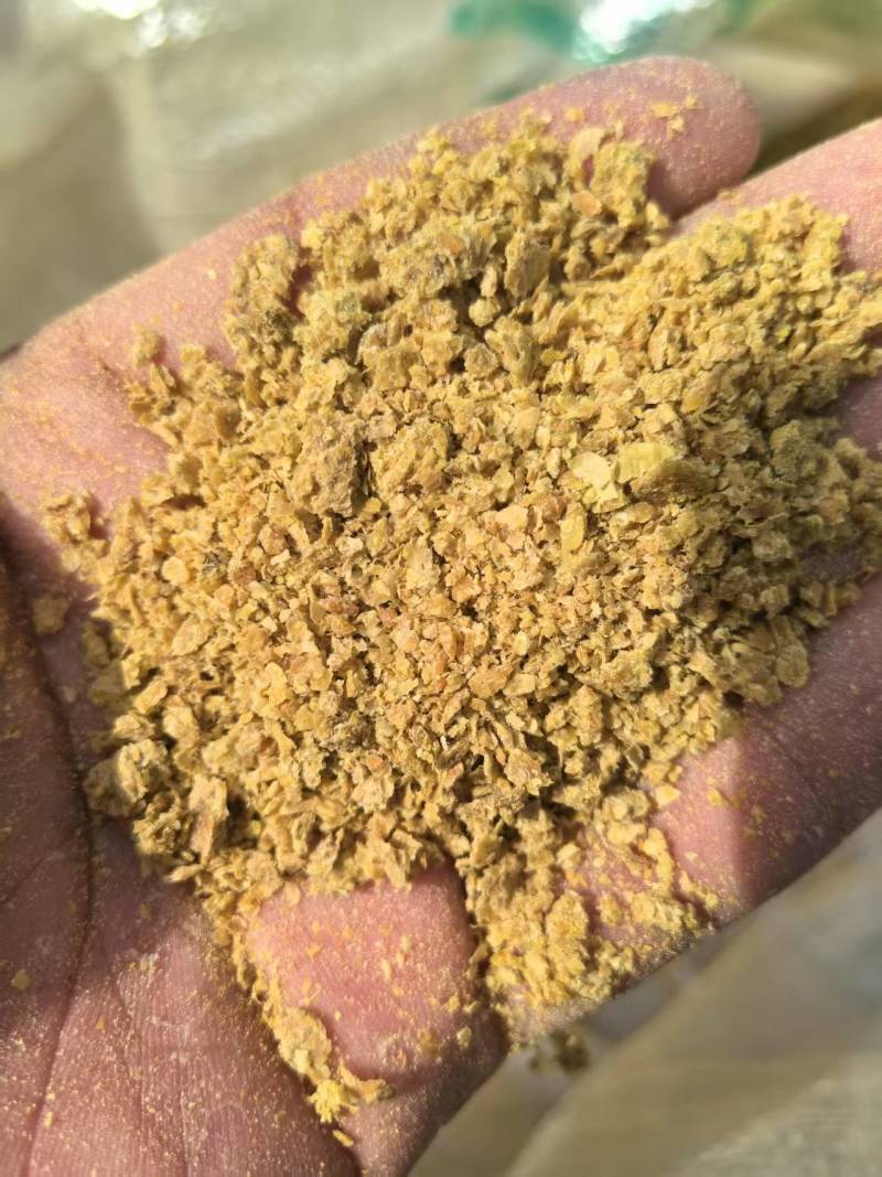 黄豆饼蛋白高油脂高适合鸡鸭鹅牛羊鱼虾蟹育肥期饲养