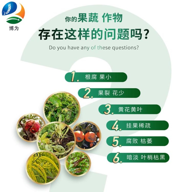 微生物菌剂瓜果蔬菜花卉通用调节土壤墒情提高化肥利用率
