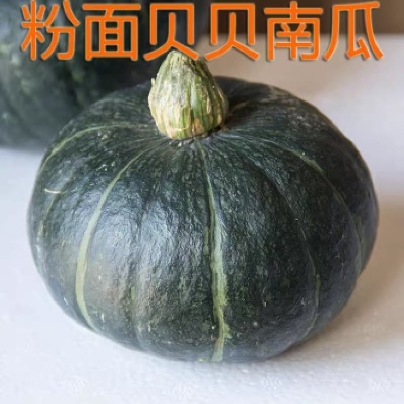 贝贝南瓜板栗南瓜大量供货对接各大市场商超