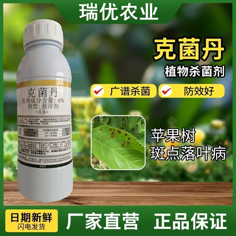 冠龙凯阅40%克菌丹悬浮剂赤霉病斑点落叶病树脂病炭疽农药
