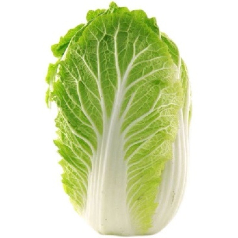 黄心大白菜产地白菜湖北大白菜大量有货供应。品质有保障