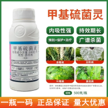 500克/升甲基硫菌灵悬浮剂白粉病稻瘟病黑星病老牌杀菌剂
