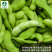 毛豆种子-特早鲜毛豆早熟高产非转基因