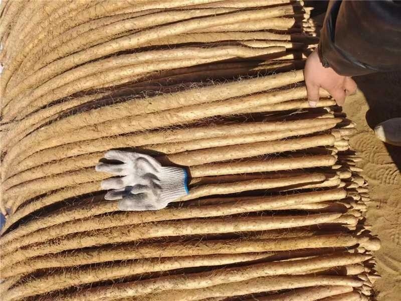 铁棍山药好货推荐】精品，全国发货，量大从优，欢迎致电