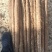 铁棍山药好货推荐】精品，全国发货，量大从优，欢迎致电