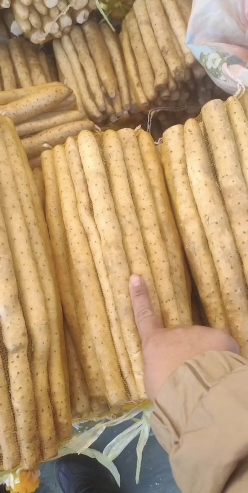 小白嘴山药小白嘴白山药箱货网袋货大货二三路各种规格都有