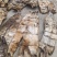 竹笋干江西精品笋干片，大量供应供应，可视频看货发全国
