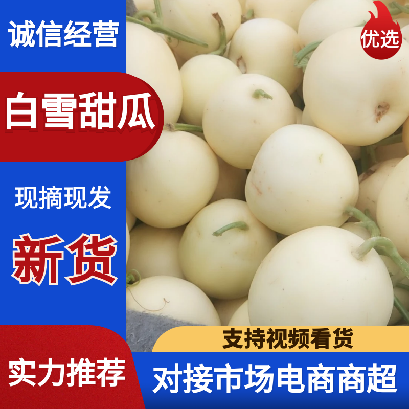 白雪甜瓜白莎蜜小甜瓜甜瓜大量供应商超品质欢迎咨询