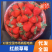慈溪本地红颜草莓货源充足质量保证市场价欢迎采购