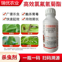 2.5%高效氯氟氰菊酯杀虫剂功夫菊酯菜青虫小菜蛾蚜虫粉虱