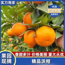 沃柑纯甜化渣，口感纯正，果肉红亮，产地看货