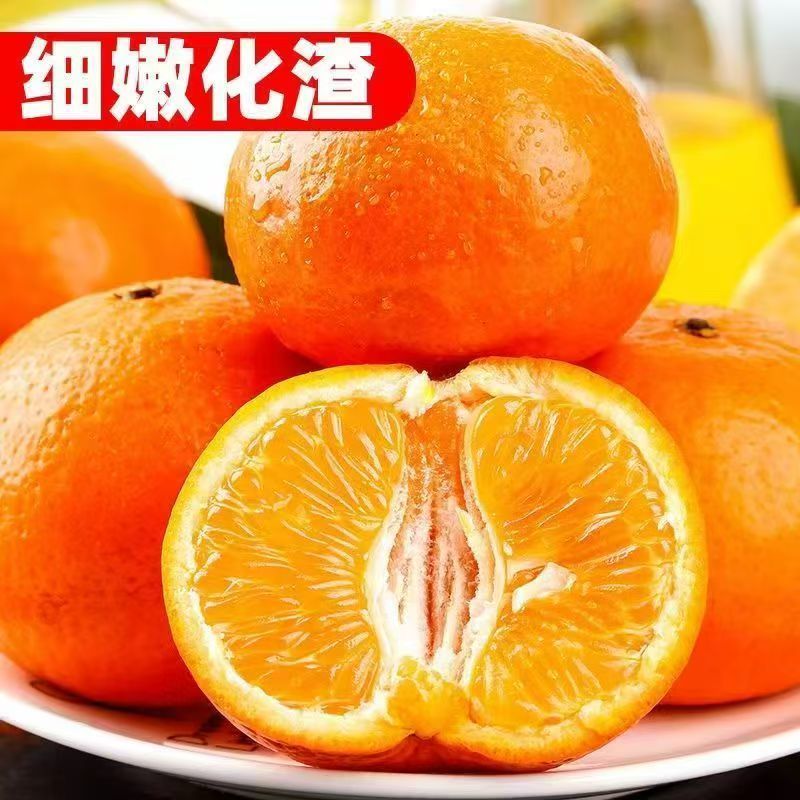 精品正宗广西武鸣沃柑支持一件代发批发欢迎咨询