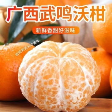 精品正宗广西武鸣沃柑支持一件代发批发欢迎咨询