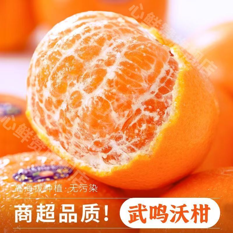 精品正宗广西武鸣沃柑支持一件代发批发欢迎咨询