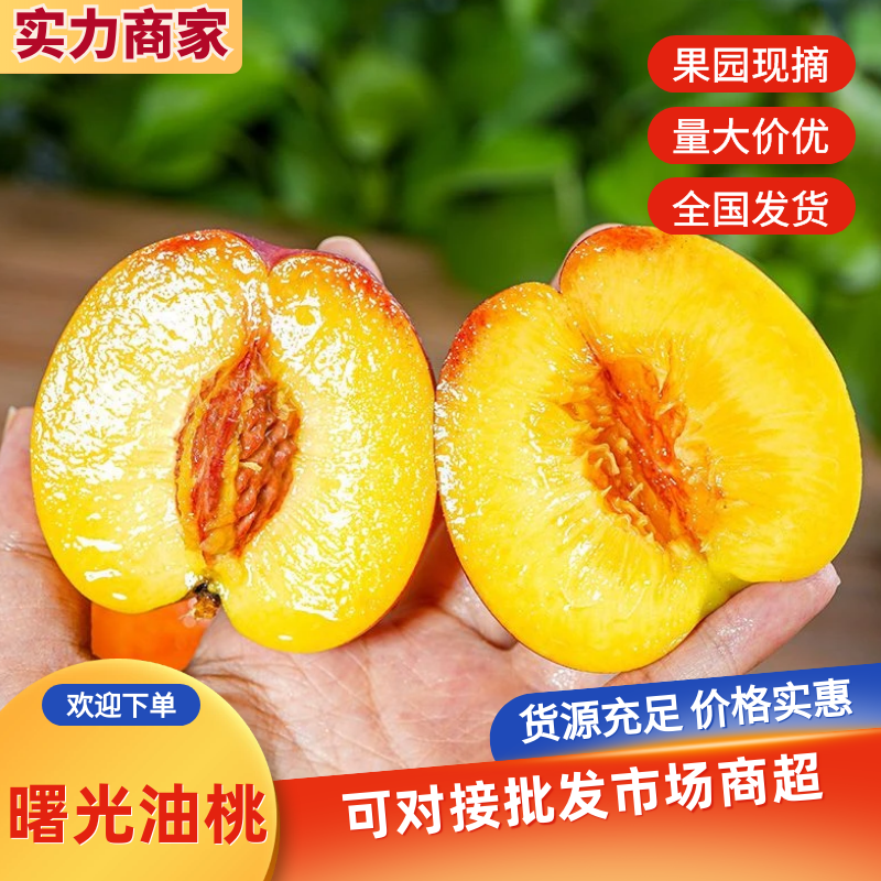 曙光油桃/518油桃产地一手货源品质好价格低量大从优