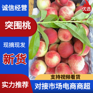 毛桃突围桃湖北桃产地直发口感脆甜对接电商市场等