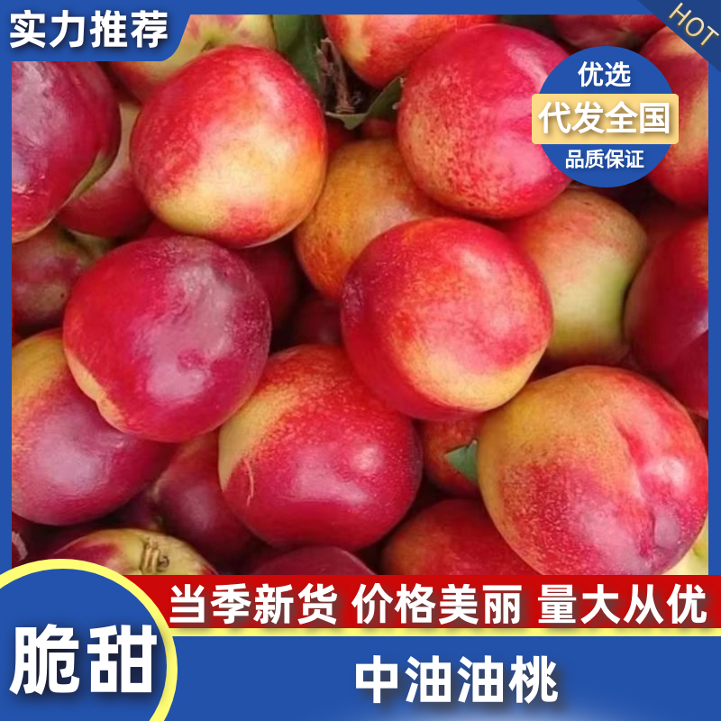 桃油桃湖北中油油桃对接各大电商平台市场社区团购