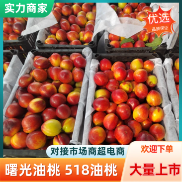 曙光油桃湖北桃口感脆甜糖分高果皮干净质量保证