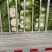 江苏黄心白菜无虫眼黑点不烧心烧边净菜上车装袋网袋纸箱都有