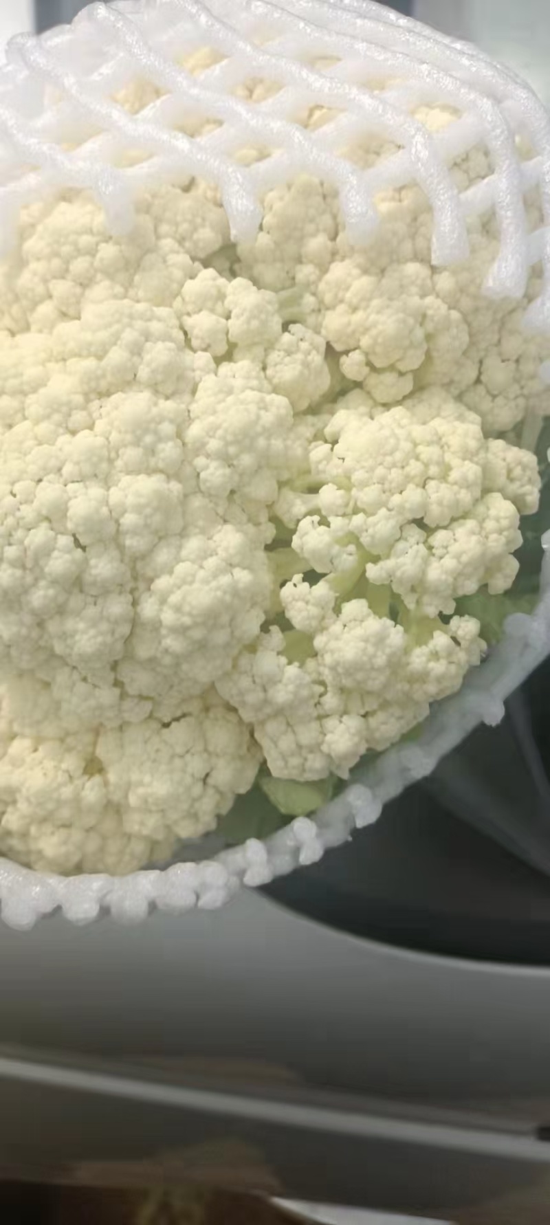 青梗白面松花菜大米粒小米粒乳白色无黑点大小规格都有有网袋