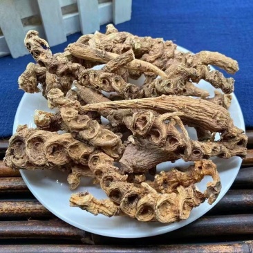 野生竹节参竹节参野生竹节参