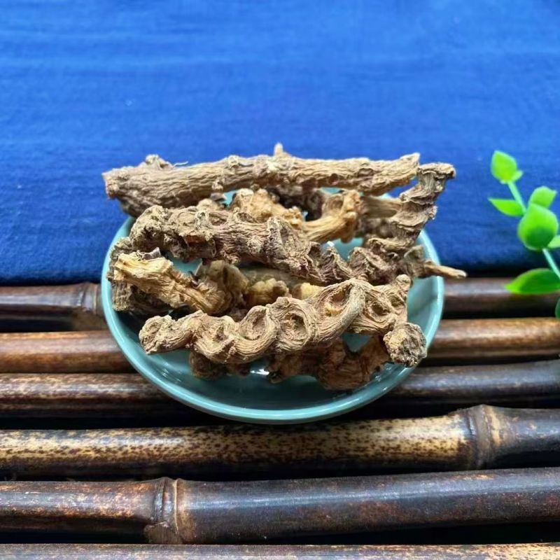 野生竹节参竹节参野生竹节参