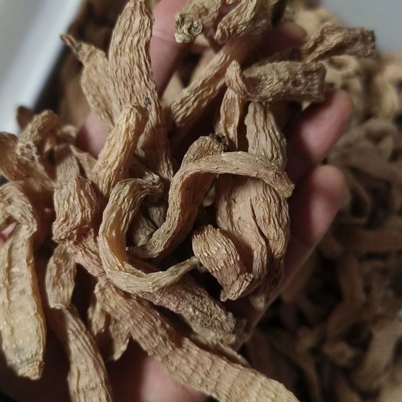 天麻种子麻白天麻乌天麻天麻天麻天麻批发