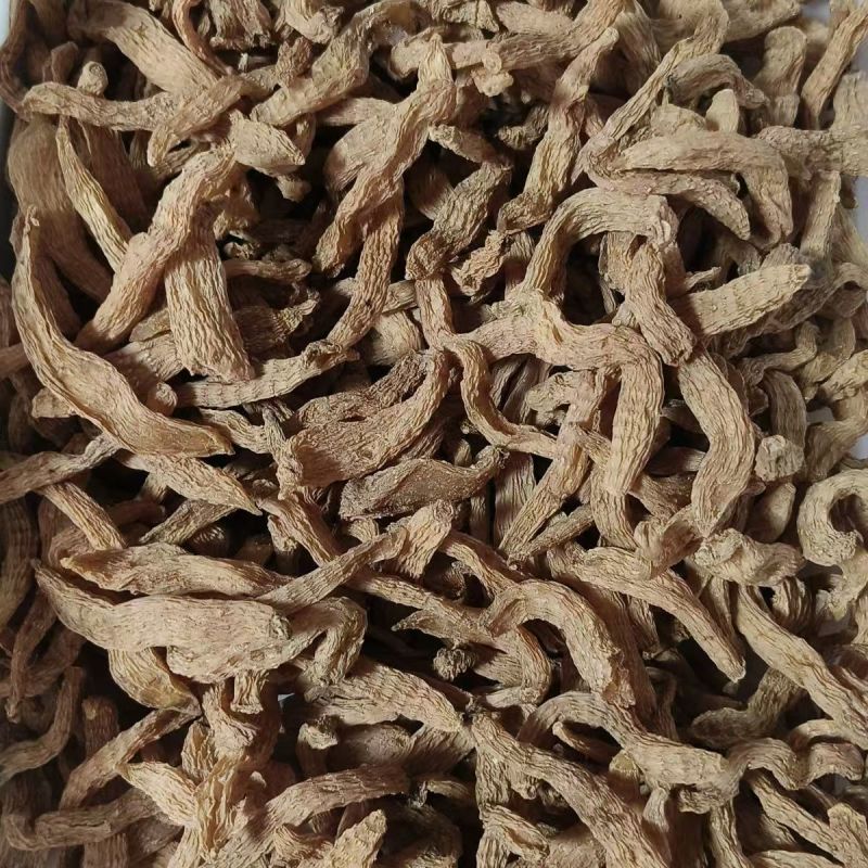 天麻种子麻白天麻乌天麻天麻天麻天麻批发
