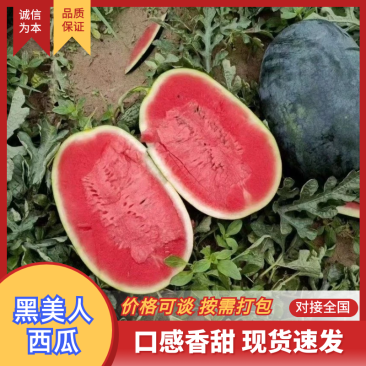 黑美人西瓜湖北西瓜产地直发糖度13+对接电商平台