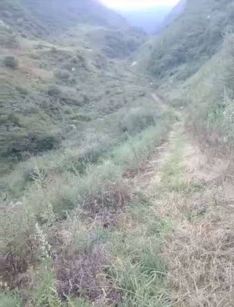 西安蓝田土地流转种植中药材用地万亩出租证件齐全