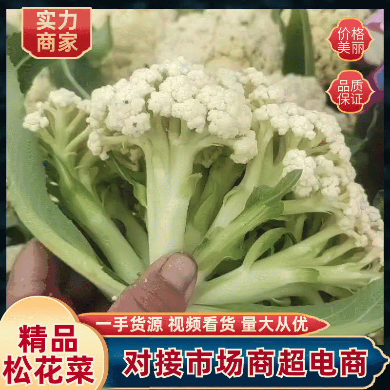 【花菜】山东郯城松花菜优质货源大量供应全国发货