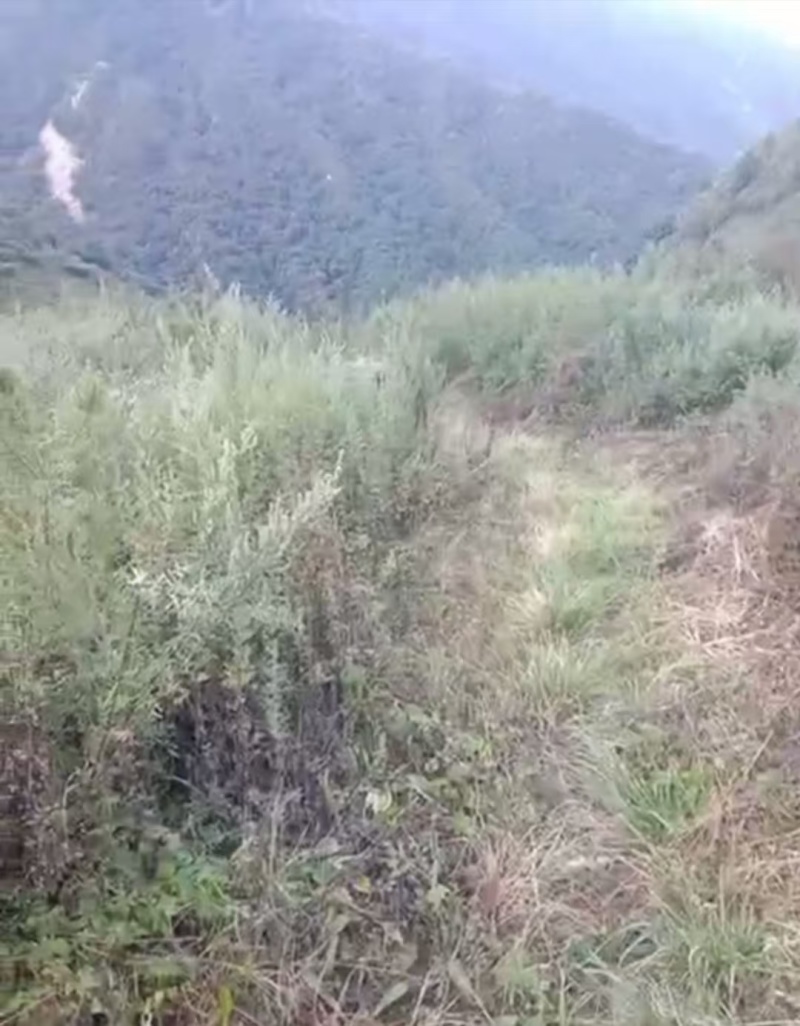 西安蓝田土地流转种植中药材用地万亩出租证件齐全