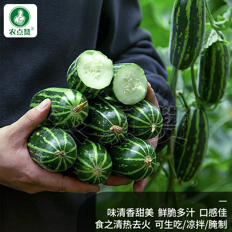 花皮菜瓜种子-味清香甜美100粒/袋