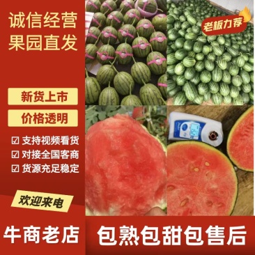 【实力】潍坊青州全美2k西瓜冰糖子皮薄汁水多供应全国