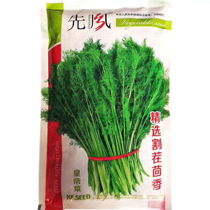 先风精选割茬茴香种子多刀收割扁杆割茬茴香种子