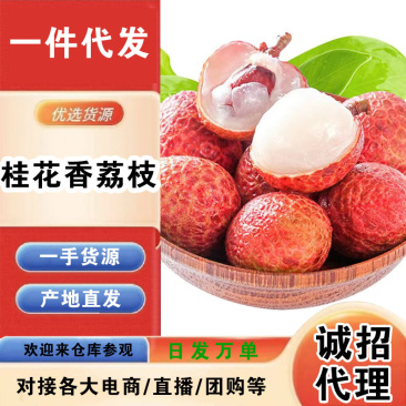 海南桂花香荔枝一件代发产地直发一手货源对接各大电商平