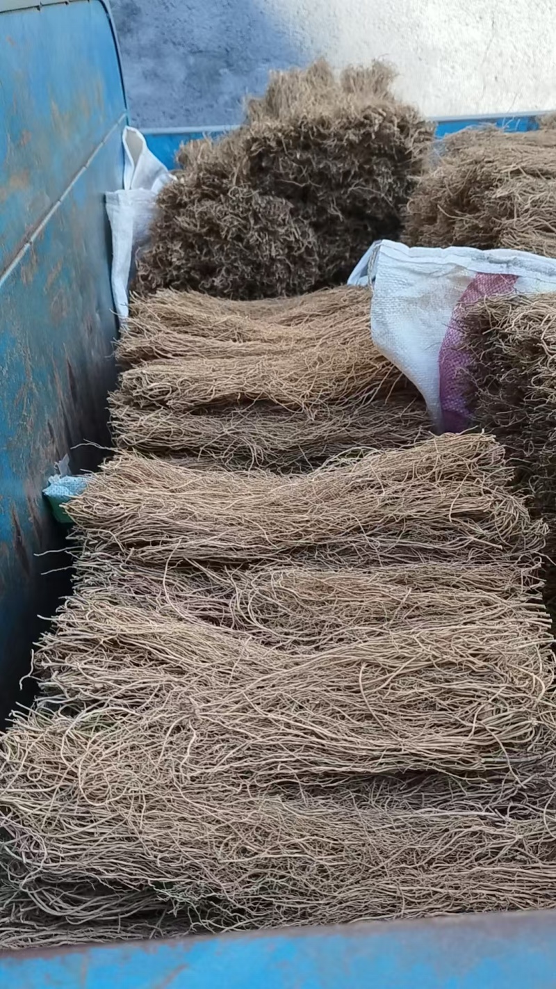 寮刁竹徐长卿产地直销自家种植有需要的老板可以联系我