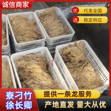 寮刁竹徐长卿产地直销自家种植有需要的老板可以联系我