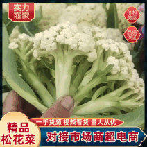 【山东松花菜】山东花菜产地直发可视频看货供应全国