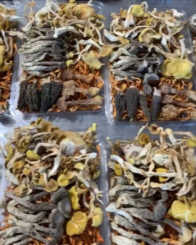 江苏菌汤包干货羊肚菌茶树菇日照绿茶等