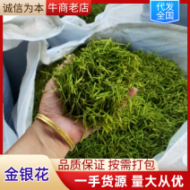 金银花大量供应品质保证欢迎下单诚信经营来电价更优