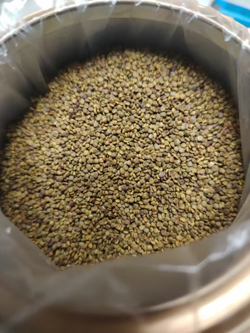 沙苑子陕西渭南大荔药材大量有货厂家直发